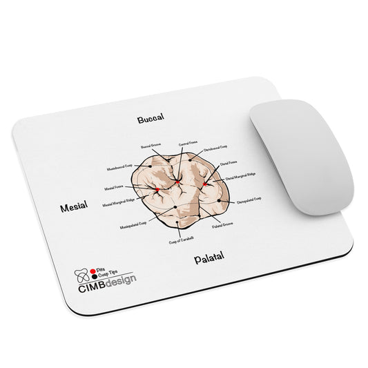 Molar occlusal Mouse pad