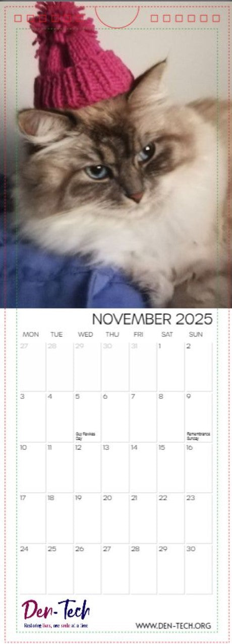 Den-Tech 2025 charity calendar