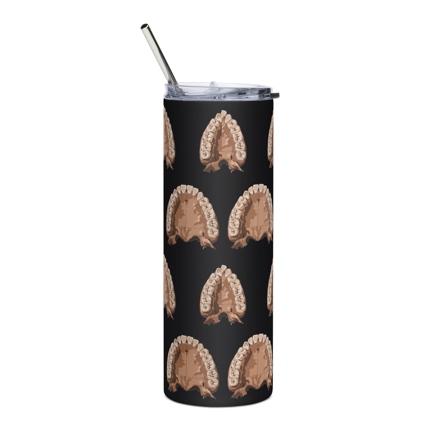 Anatomy Maxilla Stainless steel tumbler