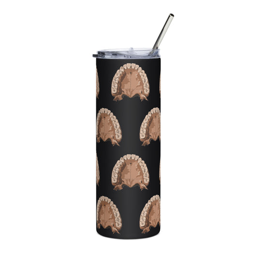 Anatomy Maxilla Stainless steel tumbler