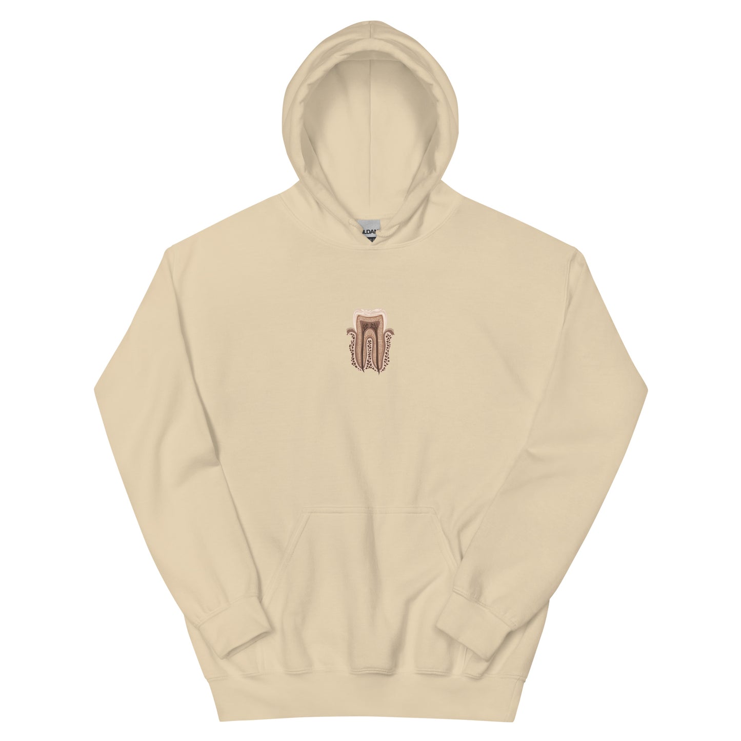 Anatomy Tooth Unisex Hoodie